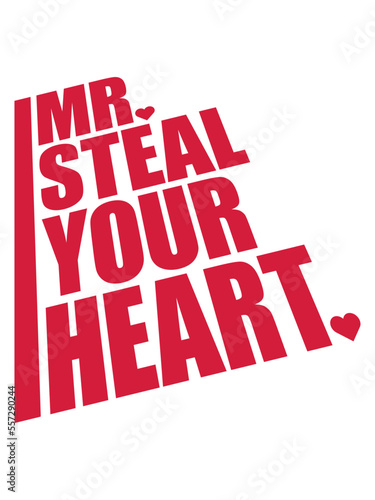 mr steal your heart 