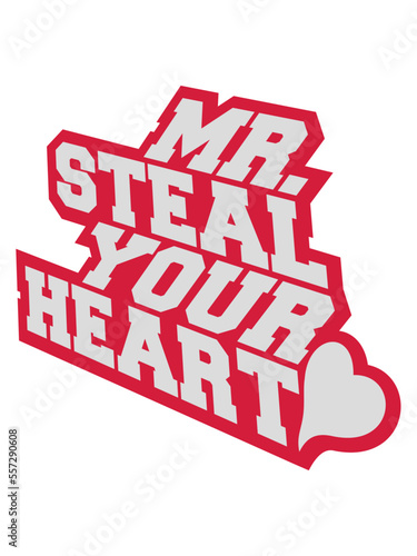 mr steal your heart 