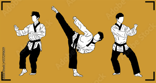 bundle of illustration vector taekwondo fighter