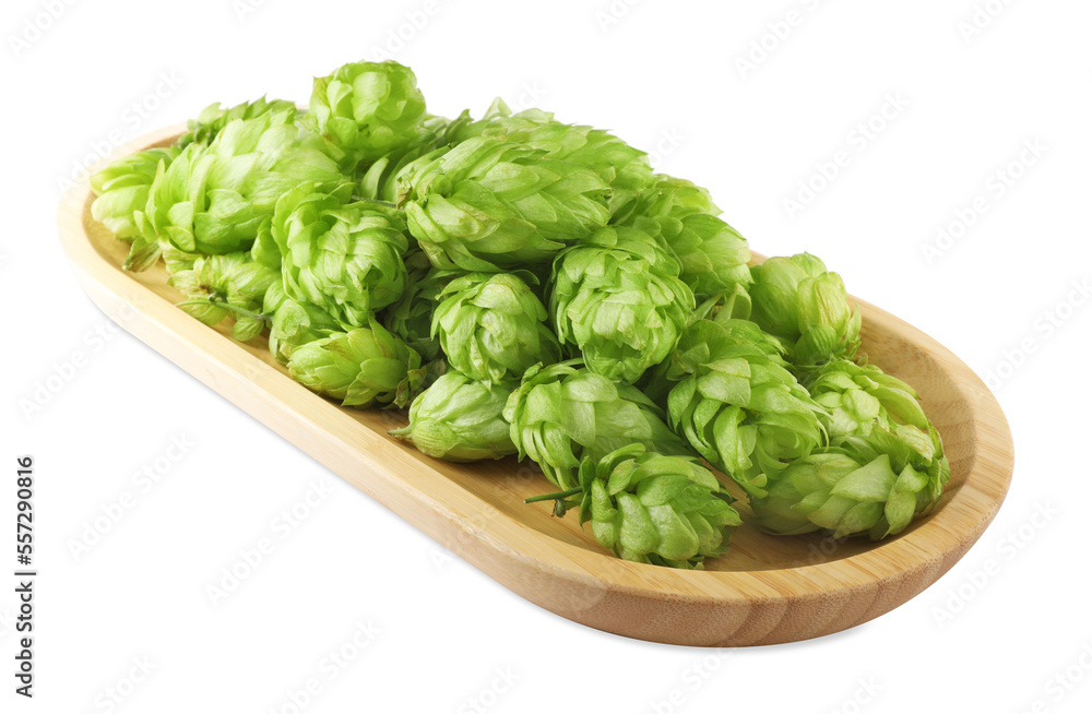 Many fresh green hops on white background Many fresh green hops on white background