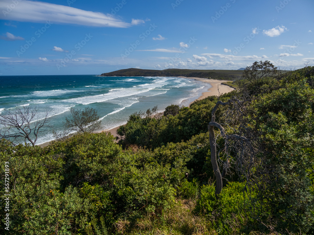 Obraz premium Angourie Coastline on a Sunny Day