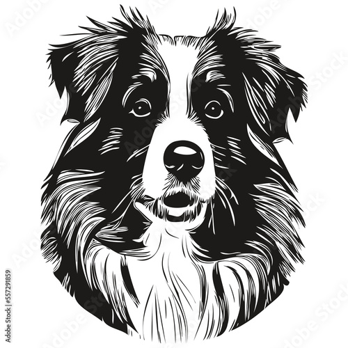 Australian Shepherd dog black and white vector logo, line art hand drawn vector pets illustration