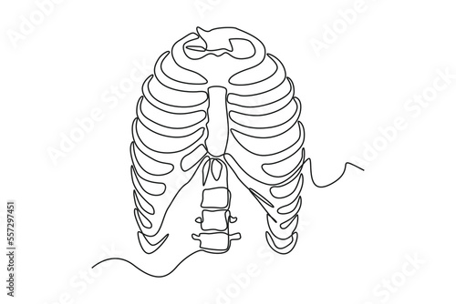 Single one line drawing rib cage anatomy. Human organ concept. Continuous line draw design graphic vector illustration.