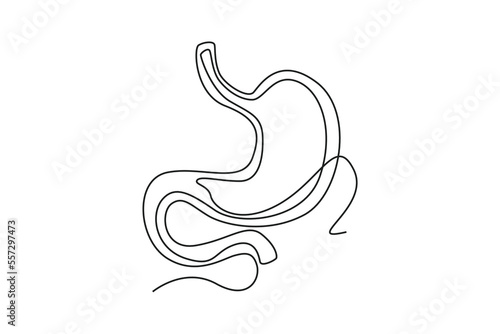 Single one line drawing stomach anatomy. Human organ concept. Continuous line draw design graphic vector illustration.