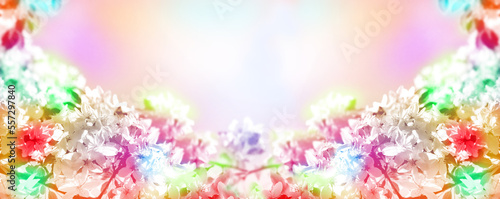 Wide banner with colorful cherry blossoms, pastel coloring, spring sunny day. Springtime atmospheric mood. Copy space