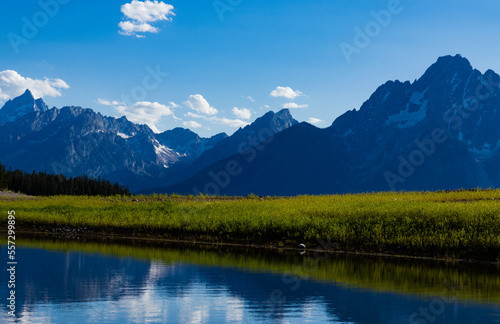 Grand Tetons along the Grassy Lake Shoreline 