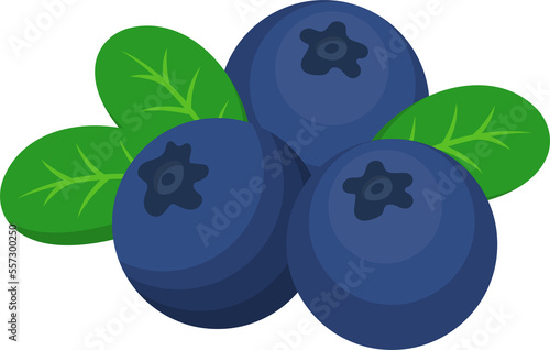 Blueberry comic cartoon vector
