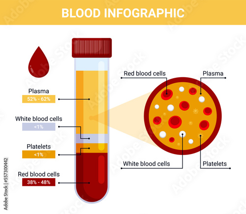 Blood infographic illustration, vector blood composition