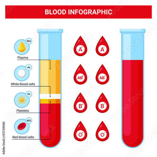 Flat design blood infographic, concept of blood composition and blood types