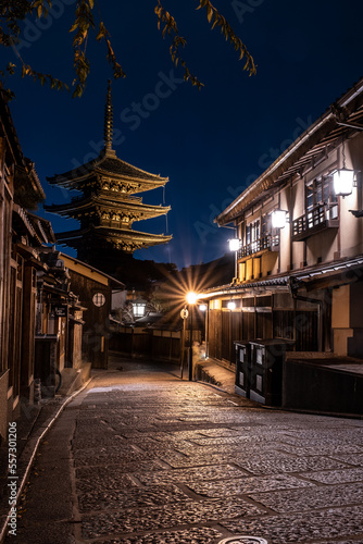 Pagoda of Toji at night in Kyoto, Japan
