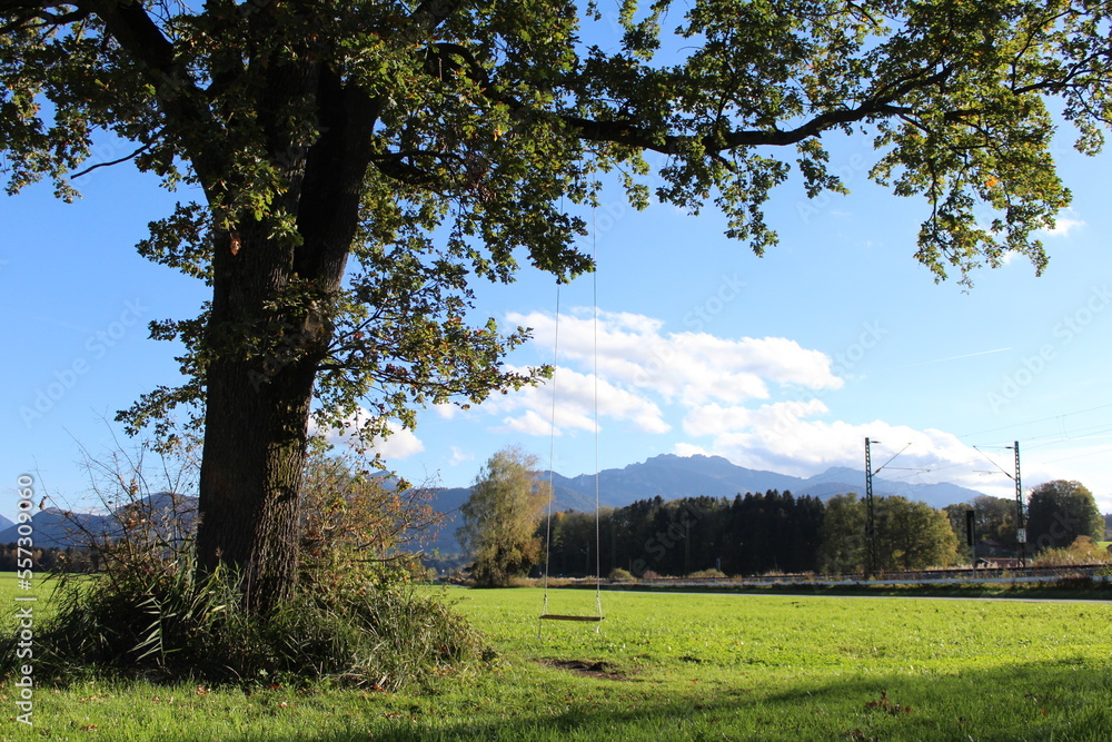 Obraz premium Schaukel an Baum vor Alpenpanorama