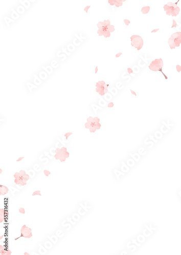 桜が舞う手描きの背景イラスト
