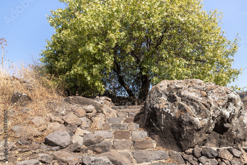 Well-preserved stone steps and alcove in the ruins of Gamla city, located in the Gamla Nature Reserve, Golan Heights, northern Israel