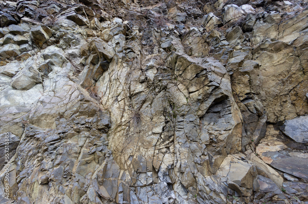 Stone surface of the rock. Dry vegetation in the cracks. Sheer gray wall, natural stone texture Stone surface of the rock. Dry vegetation in the cracks. Sheer gray wall, natural stone texture