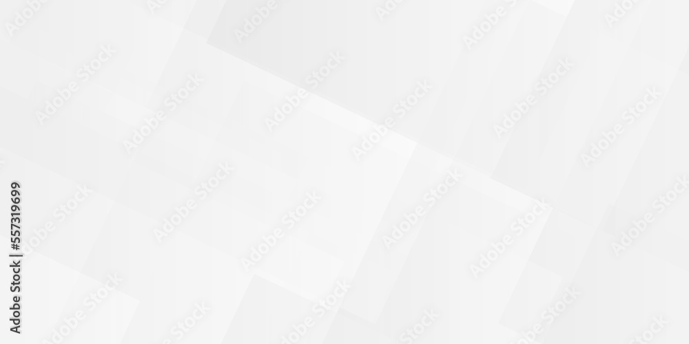 White paper texture and abstract white background with lines white light & grey background. Space design concept. Decorative web layout or poster, banner. White grey background vector design. White paper texture and abstract white background with lines white light & grey background. Space design concept. Decorative web layout or poster, banner. White grey background vector design.