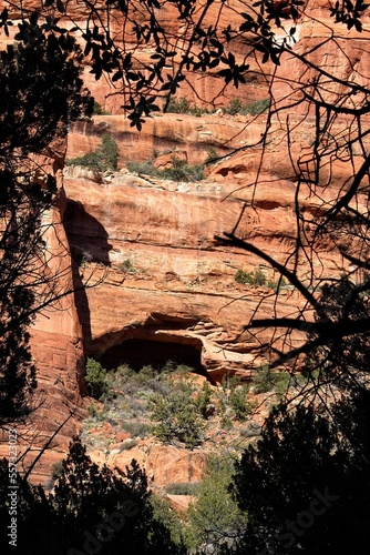 Fay Canyon Arch, in the Red Rocks of Sedona, Arizona. Green juniper are growing in the foreground. photo