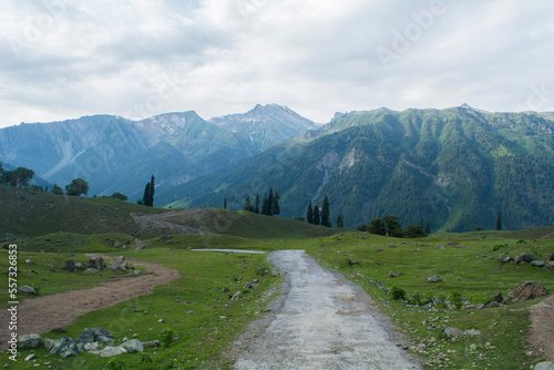 mountain road in the mountains