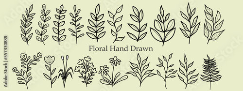 collection of hand drawn line art of leaves and flowers. Decorative beauty elegant illustration for design hand drawn flower. icon vector