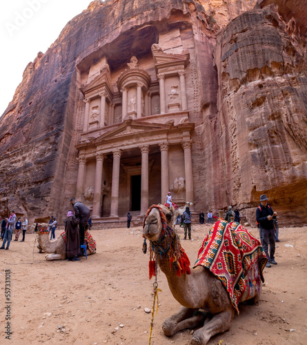 Close up view of the Treasury (Al Khazneh) with camel in foreground at the ancient city of Petra in Jordan 