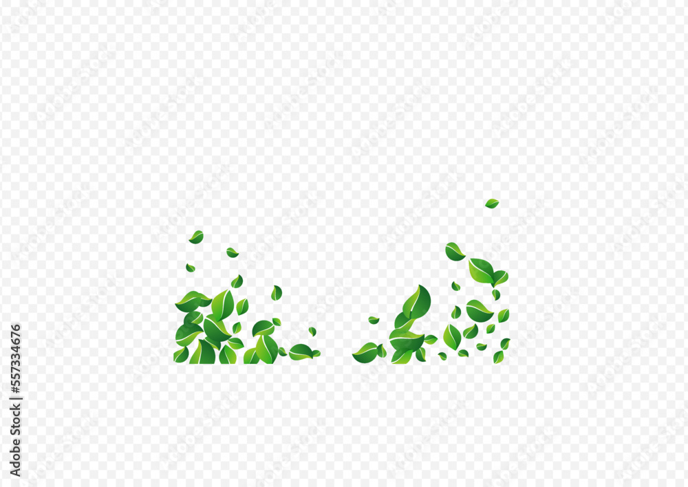 Swamp Leaf Transparent Vector Transparent Swamp Leaf Transparent Vector Transparent