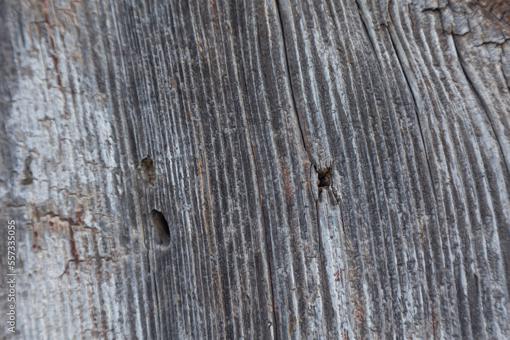 Obraz premium Old weathered wooden beam with distinctive grain - texture, pattern