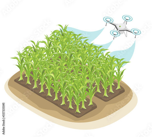 Agricultural Spraying Drone technology for Smart Farming corn symbols graphic isometric isolated vector