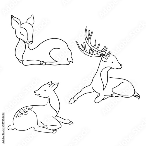 Hand drawn young deer in tribal style. Magic vintage vector illustration in black on white. Children's coloring book. Spiritual art, yoga, boho style, nature and wildlife. T-shirts and tattoos