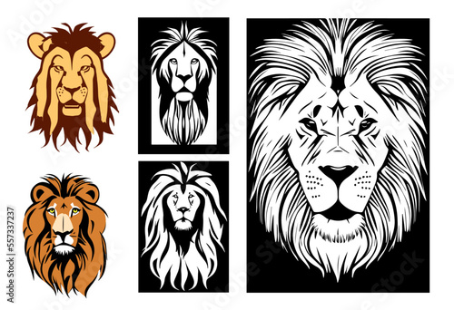 Lion Vector Illustration Set 01
