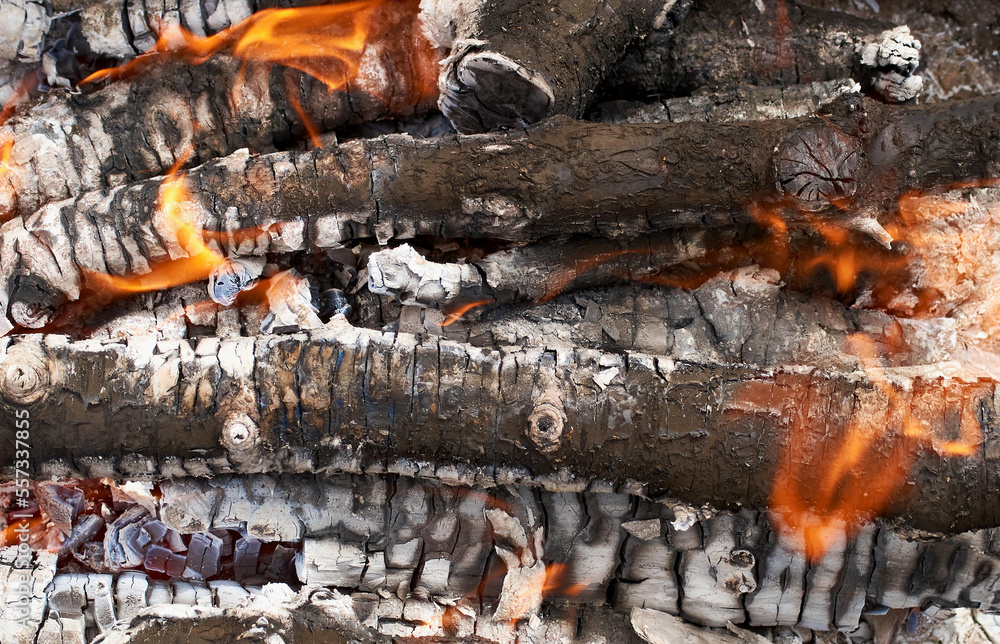 Burning firewood in fire-box of boiler in country cottage. Burning firewood in fire-box of boiler in country cottage.