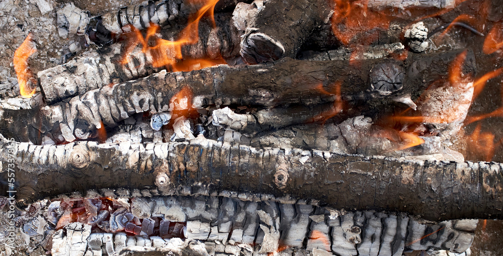 Burning firewood in fire-box of boiler in country cottage. Burning firewood in fire-box of boiler in country cottage.