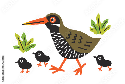 ヤンバルクイナ親子の手描きイラスト