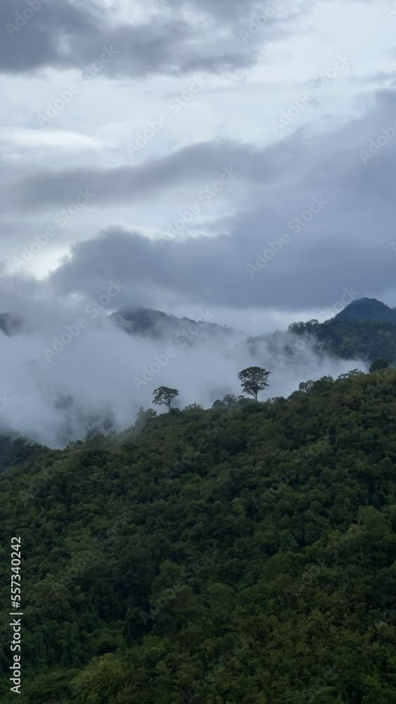 View lush green tropical rain forest mountain with rain cloud cover during the rainy season on the Doi Phuka Mountain reserve national park. In, the northern Thailand.v View lush green tropical rain forest mountain with rain cloud cover during the rainy season on the Doi Phuka Mountain reserve national park. In, the northern Thailand.v