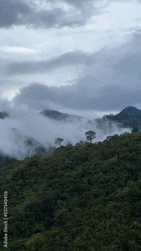 View lush green tropical rain forest mountain with rain cloud cover during the rainy season on the Doi Phuka Mountain reserve national park. In, the northern Thailand.v View lush green tropical rain forest mountain with rain cloud cover during the rainy season on the Doi Phuka Mountain reserve national park. In, the northern Thailand.v