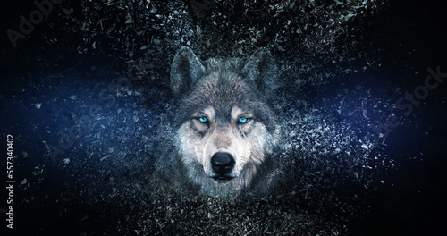 Wolf wallpaper with decay effect.