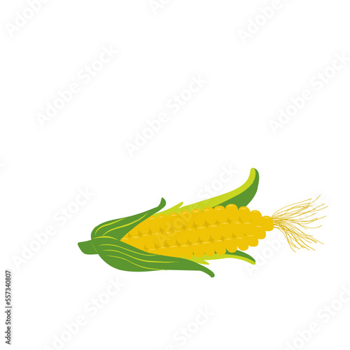 Corn cob in a green husk isolated on white background. Sweet golden corn. Ear of corn with leaves. Freshly picked corn. Single ripe maize. Cartoon corn symbol. Vector illustration,flat style, clip art
