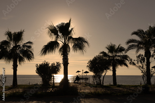 silhouette a man reads a book on the coast under palm trees on a bench in the form of a lantern with umbrellas. High quality photo