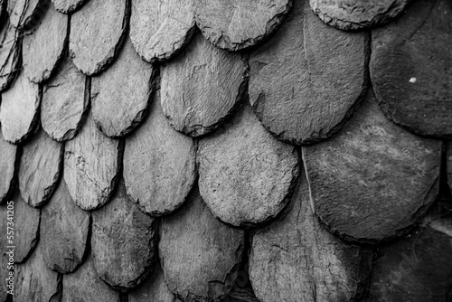 old stone wall with scales - Hokkaido Japan
