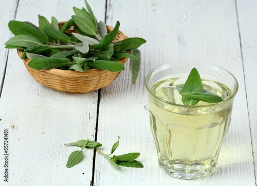 Obraz na plátně Herbal tea made from sage, Salvia officinalis