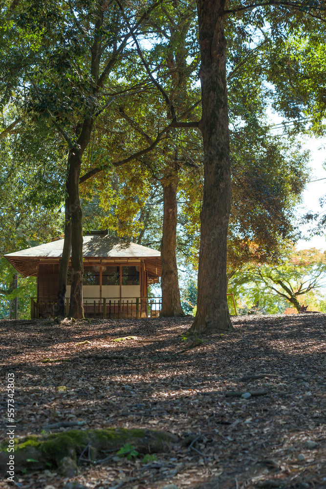 Nara Park, a sightseeing spot with lush natural scenery surrounded by trees Nara Park, a sightseeing spot with lush natural scenery surrounded by trees