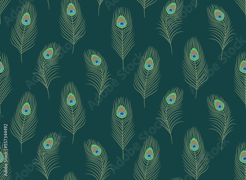 Seamless pattern with peacock feathers. Beautiful nature texture in flat style.