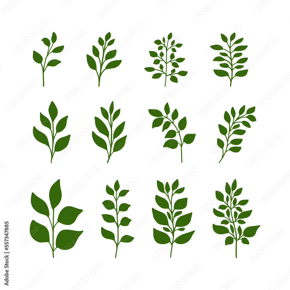 Set of green silhouettes of minimalistic branches, leaves for organic and eco logo and designs. Tree art design. Isolated on white background.