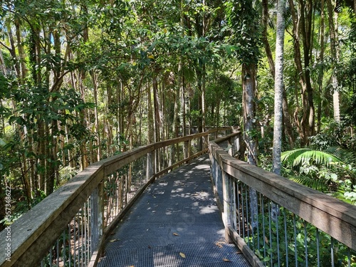 Sea Acres Rainforest boardwalk and Port Macquarie New South Wales Australia