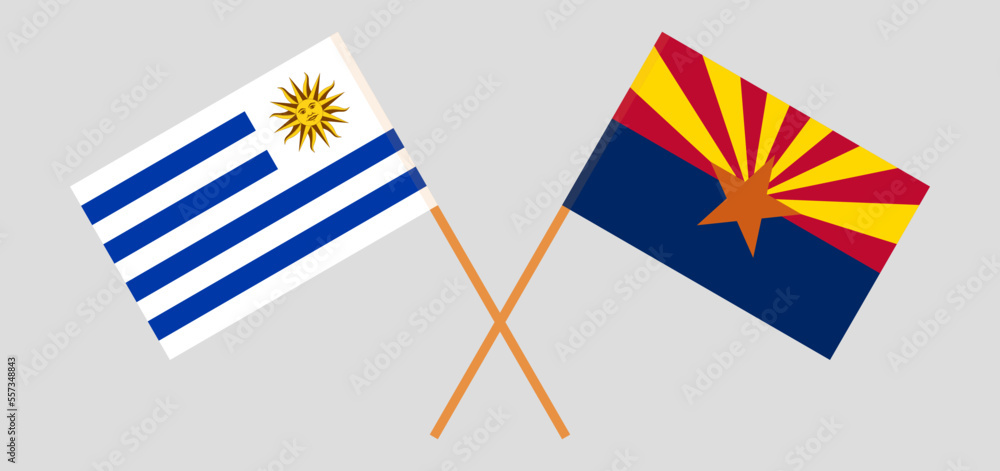 Crossed flags of Uruguay and the State of Arizona. Official colors. Correct proportion Crossed flags of Uruguay and the State of Arizona. Official colors. Correct proportion
