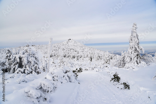 Wallpaper Mural Winter mountain landscape. Karkonosze in winter in Poland. Torontodigital.ca