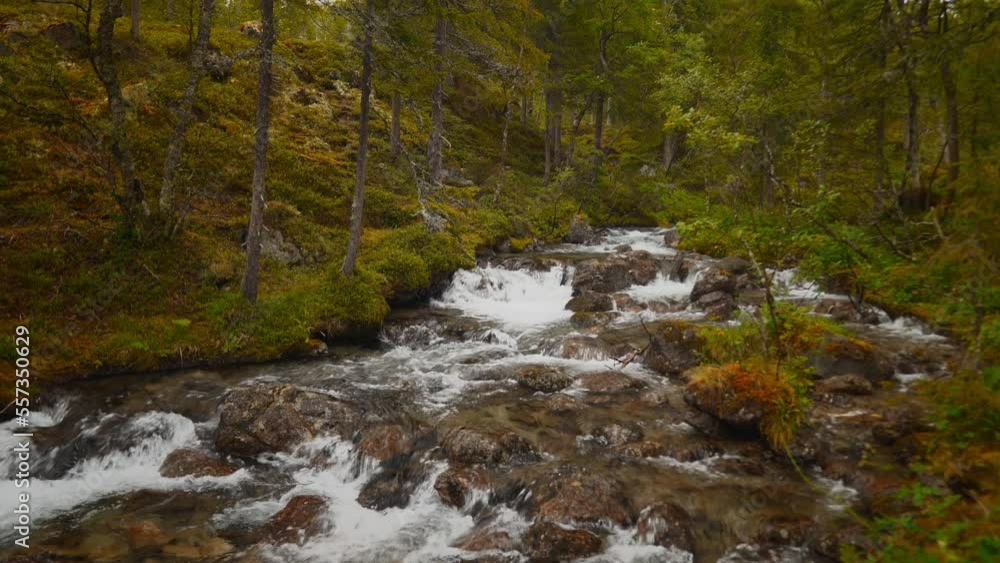 Vertical Screen: The swift and indomitable flow of a mountain river. Vertical Screen: The swift and indomitable flow of a mountain river.