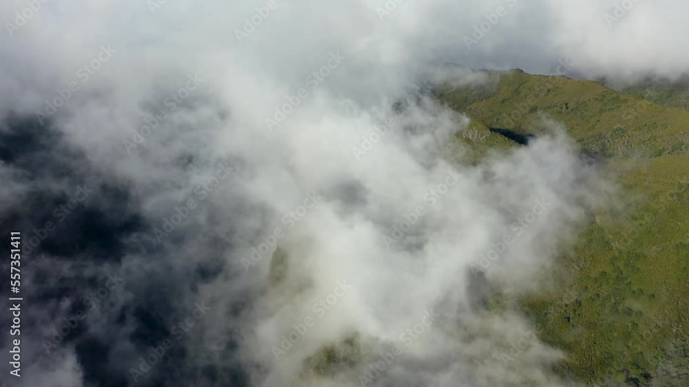 Epic aerial view of mystical mist over the trees of a forest on Madeira in Portugal. Epic aerial view of mystical mist over the trees of a forest on Madeira in Portugal.