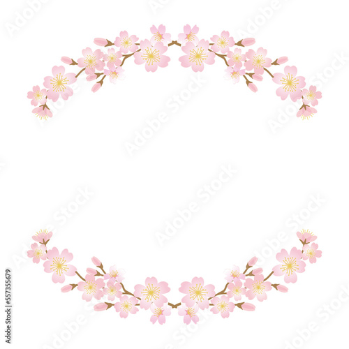 Vector frame illustration of cherry blossom branches