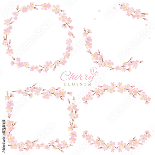 Vector frame illustration set of cherry blossom branches