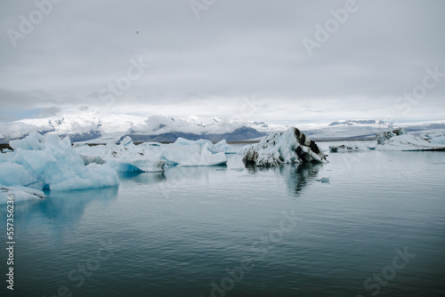 Many icebergs and ice floes in the glacial lagoon j  kuls  rl  n in iceland  which has broken away from the glacier tongue brei  amerkurj  kull. With a view of Hvannadalshn  kur in the background.