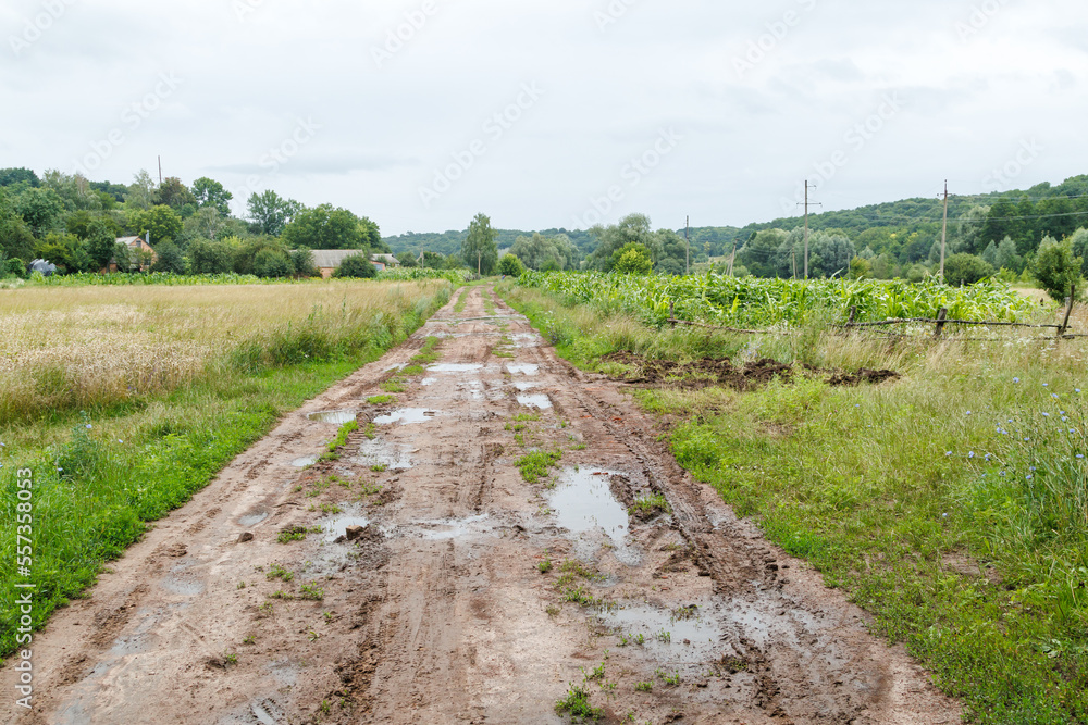 Broken dirt road in the village with lots of muddy puddles after rain. Off-road Road with puddles and mud. Spring country road. A dirt road in the village. Rural landscape with a dirt road Broken dirt road in the village with lots of muddy puddles after rain. Off-road Road with puddles and mud. Spring country road. A dirt road in the village. Rural landscape with a dirt road